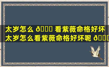 太岁怎么 🐘 看紫薇命格好坏「太岁怎么看紫薇命格好坏呢 🐎 」